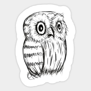 Owl's well Sticker